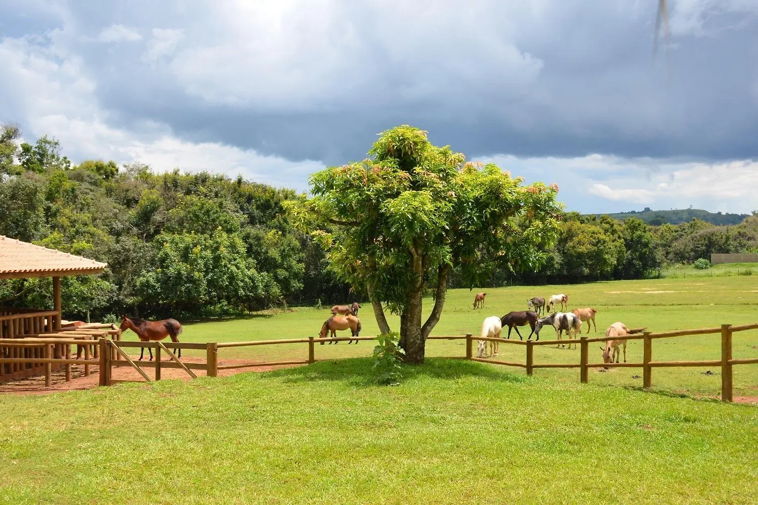 Farm stay Estancia Ek Franca